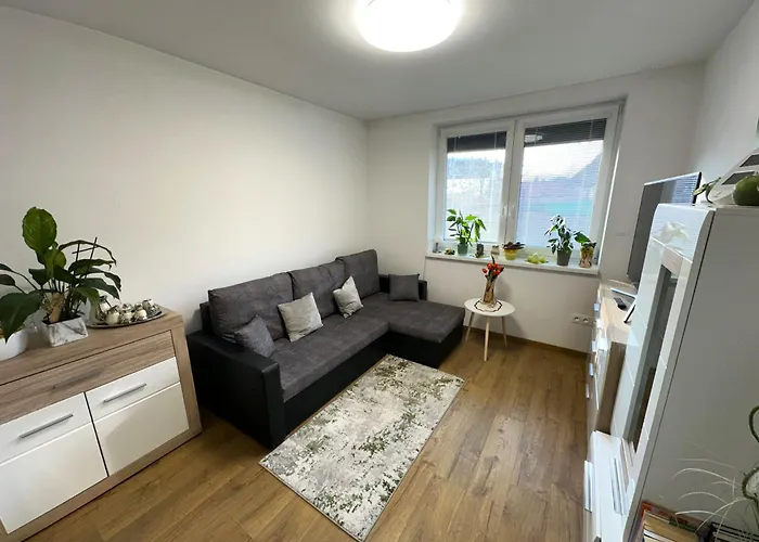 Family House Teplice Vila *